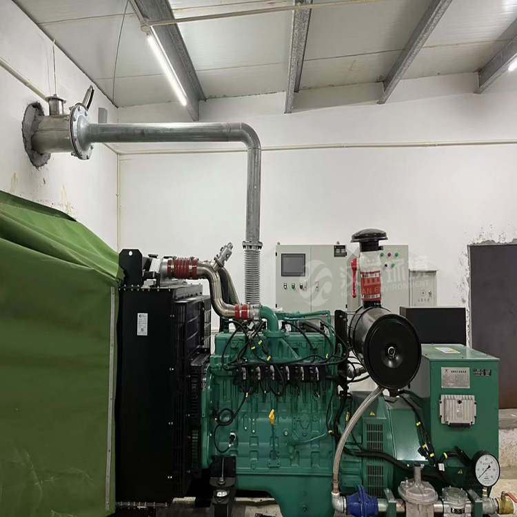 萬純SCR脫硝系統(tǒng)-糞肥沼氣發(fā)電機組脫硝