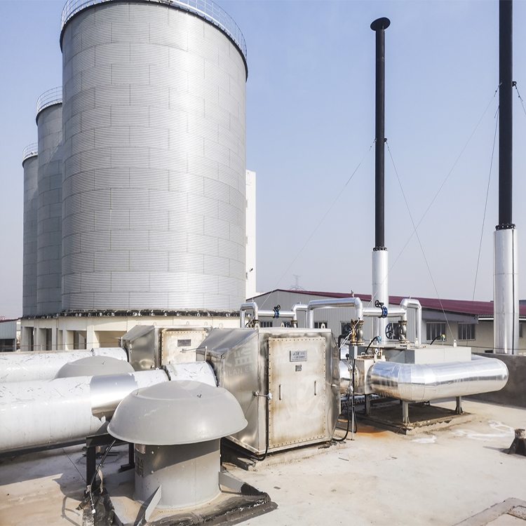 萬純SCR脫硝工程-糞污沼氣發電機組脫硝