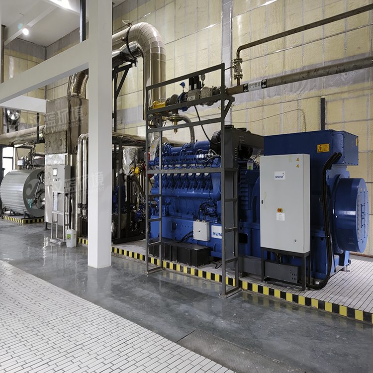 萬純SCR脫硝工程-沼氣發電機組脫硝