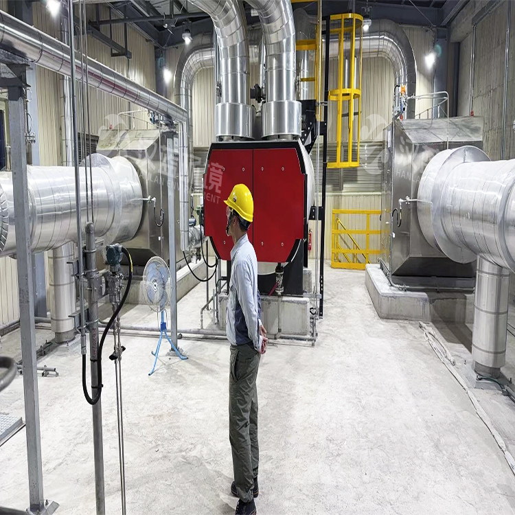 萬純燃氣發電機組脫硝設備在海外某地區達標運行